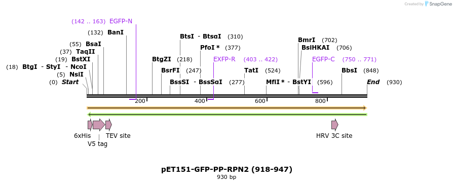136669_map