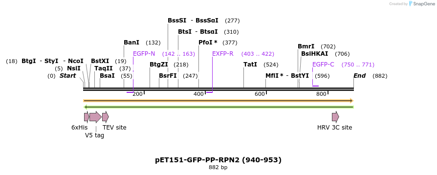 136670_map