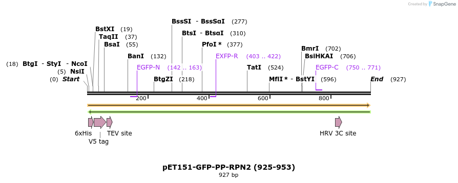 136672_map