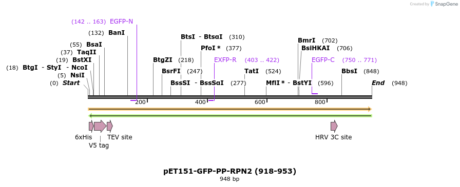 136673_map