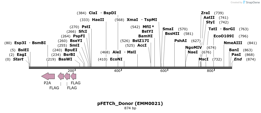 136681_map