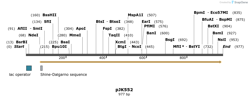 136694_map