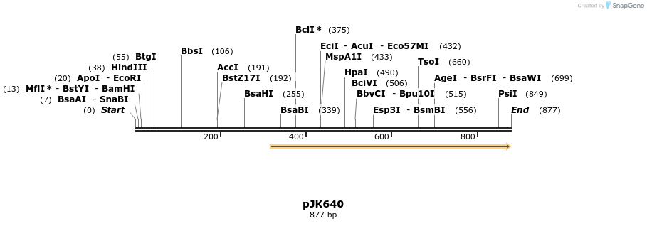 136696_map