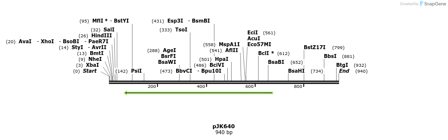 136697_map