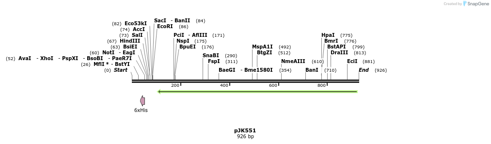 136698_map