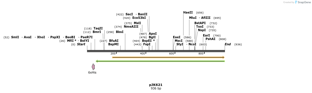 136699_map