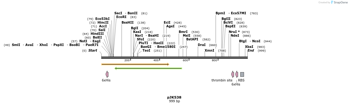 136701_map