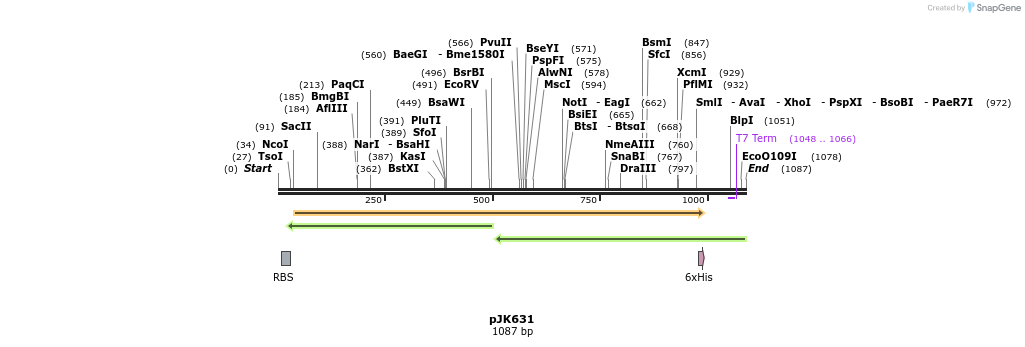 136702_map