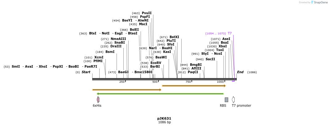136703_map