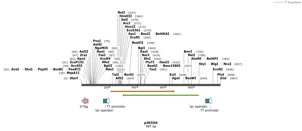 136706_map