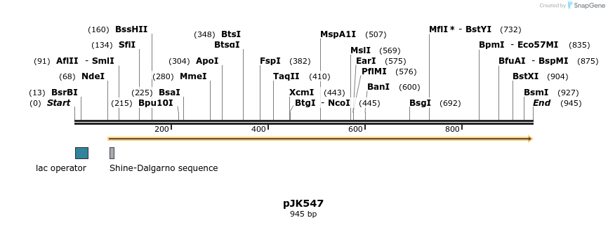 136707_map