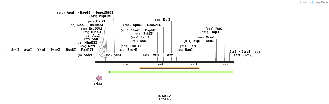 136708_map