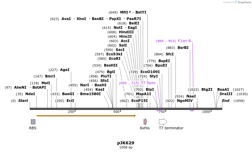 136709_map