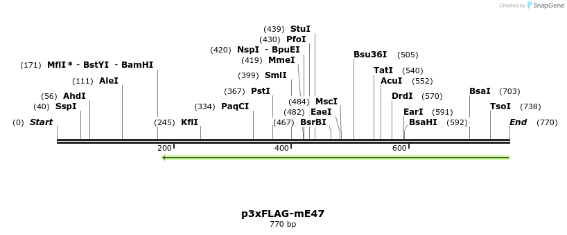 136711_map