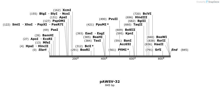 136714_map