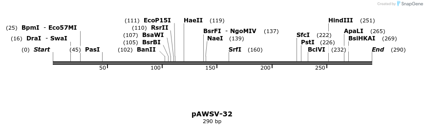 136715_map