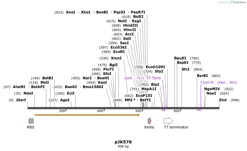 136716_map