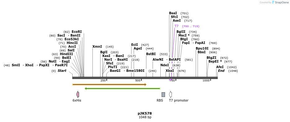 136717_map