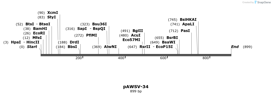 136722_map