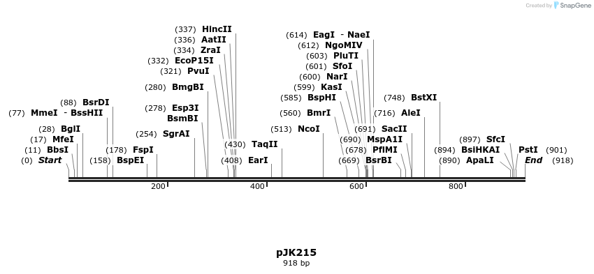 136731_map
