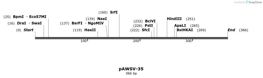 136732_map