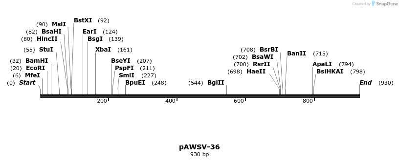 136734_map