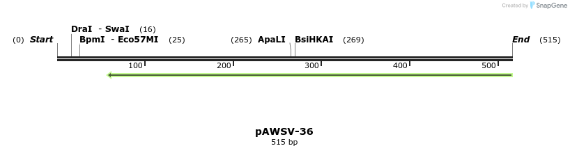 136736_map