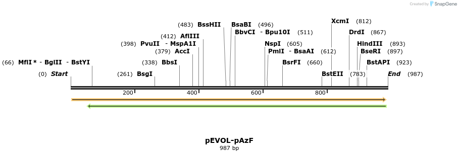 136737_map