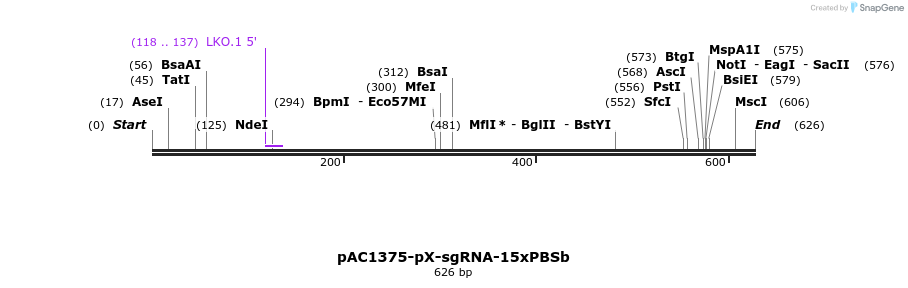 136743_map