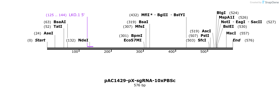 136744_map