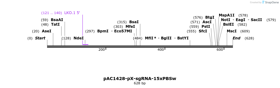 136746_map