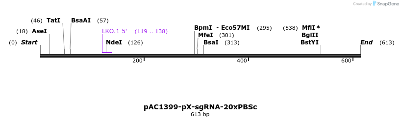136747_map