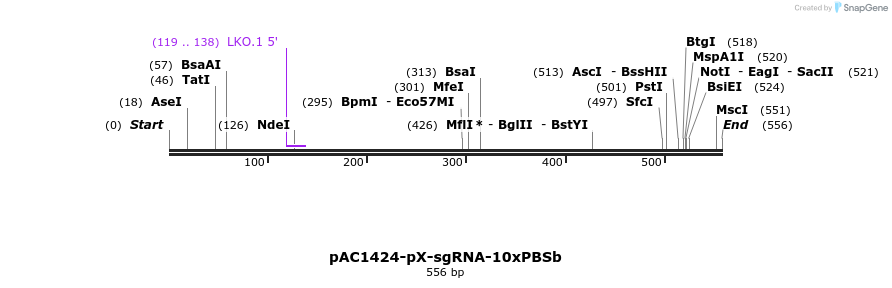 136749_map