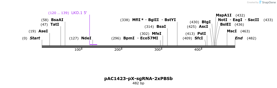 136750_map