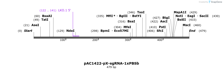136751_map