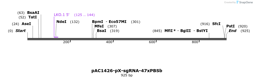 136752_map