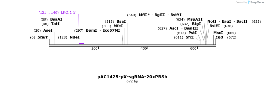 136753_map