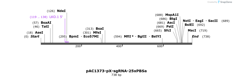 136755_map