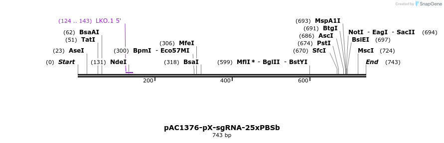 136764_map