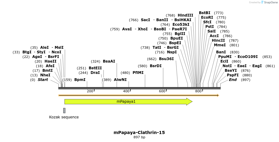 136766_map