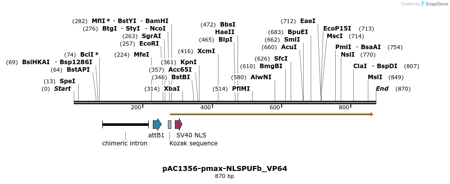 136771_map