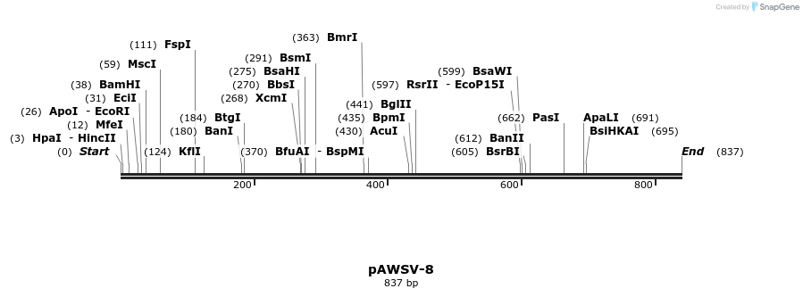 136778_map