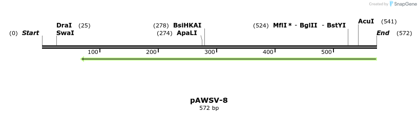 136779_map