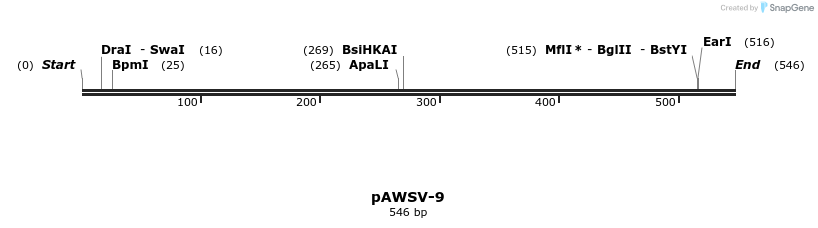 136781_map