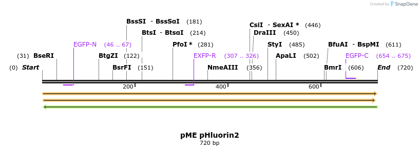 136783_map