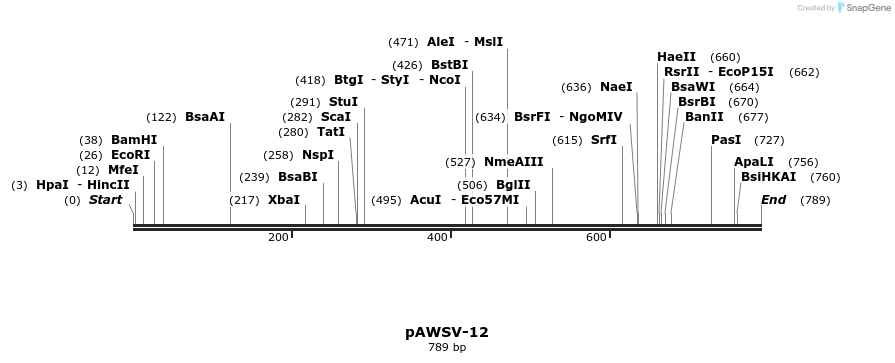 136787_map