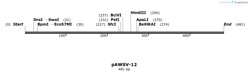 136788_map