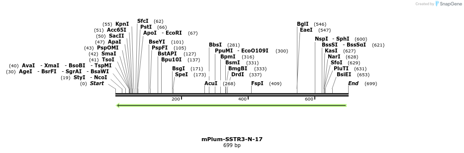 136790_map