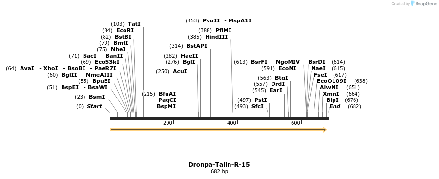 136791_map