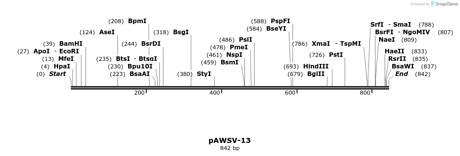 136792_map